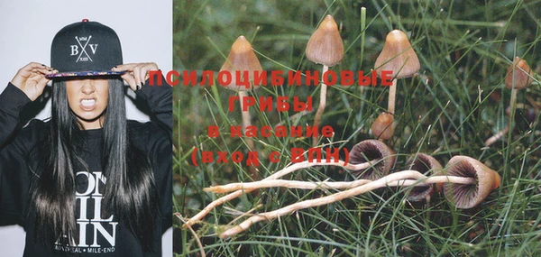 экстази Богданович
