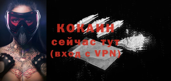 COCAINE Богородицк