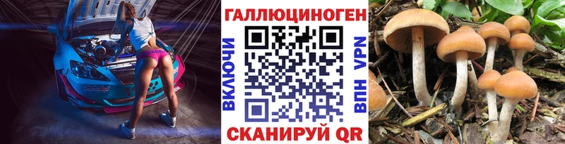 Псилоцибиновые грибы MAGIC MUSHROOMS  купить  цена  Малаховка 